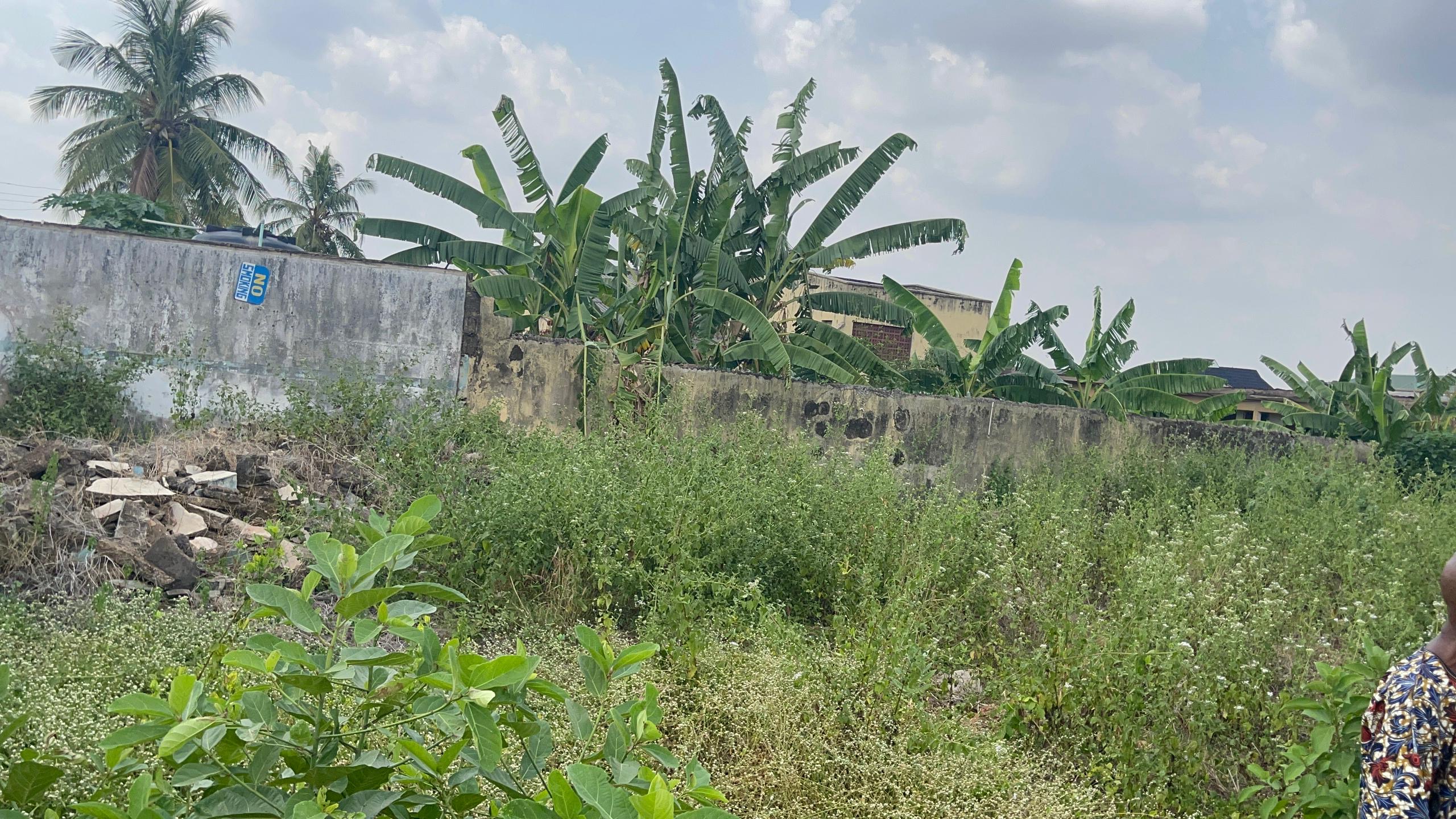 a906a45e-86c1-49ce-a583-ba177d829417