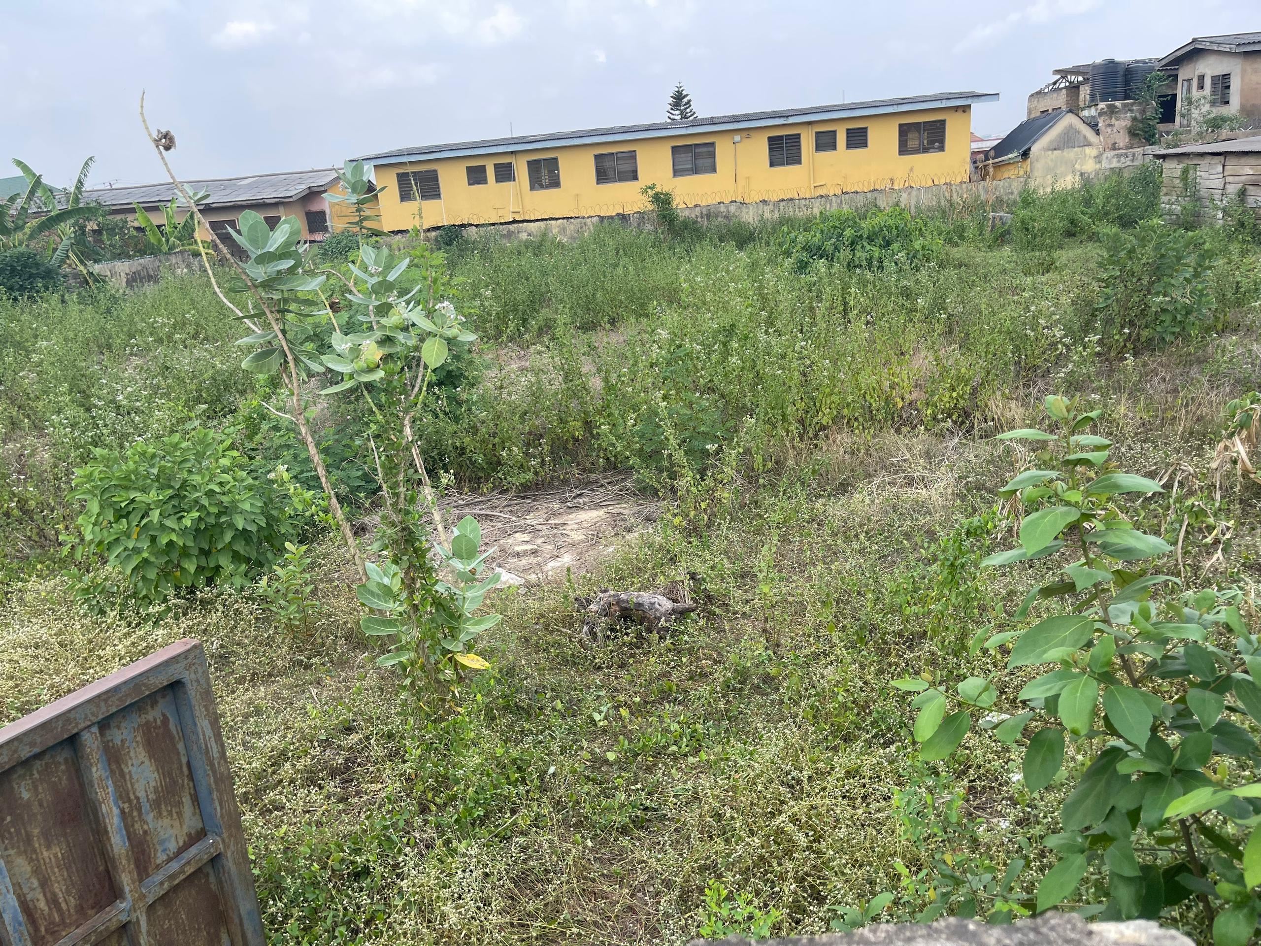 c97f92f5-8944-4c4f-bcfc-ecb68f2f4fb5